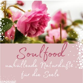 Web.Seminar Soulfood - Sabrina Herber & Eliane Zimmermann